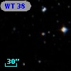 WT   38