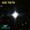 HD   7879