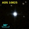 ADS 10825