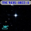 TYC 9135-1022-1