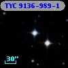 TYC 9136-989-1