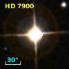 HD   7900