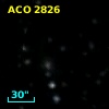 ACO  2826