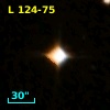 L  124-75