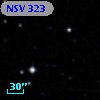 NSV   323