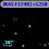 IRAS F17492+5250