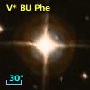 V* BU Phe