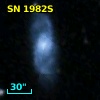 SN 1982S