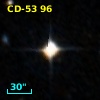 CD-53    96