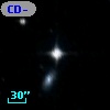 CD-51   131