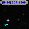 [EM96] COS-1209