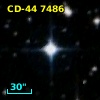 CD-44  7486