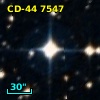 CD-44  7547