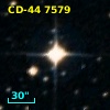 CD-44  7579