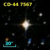 CD-44  7567