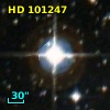 HD 101247