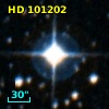 HD 101202