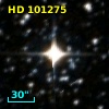 HD 101275