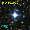 HD 101020