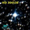HD 304538