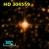 HD 304559