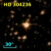 HD 304236