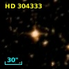 HD 304333