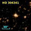 HD 304341