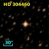 HD 304460