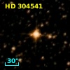 HD 304541