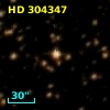 HD 304347