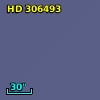 HD 306493