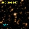 HD 306567