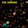 HD 306690