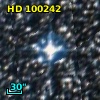 HD 100242