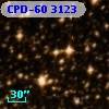 CPD-60  3123