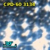 CPD-60  3134