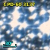 CPD-60  3137