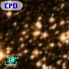 CPD-60  3148