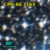 CPD-60  3163
