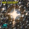 HD 101007