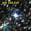 HD 101316