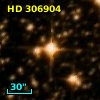 HD 306904