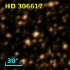 HD 306617
