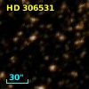 HD 306531