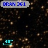 BRAN 361