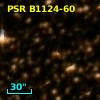 PSR B1124-60