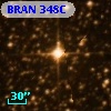 BRAN 348C