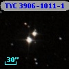 TYC 3906-1011-1