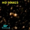 HD 306823